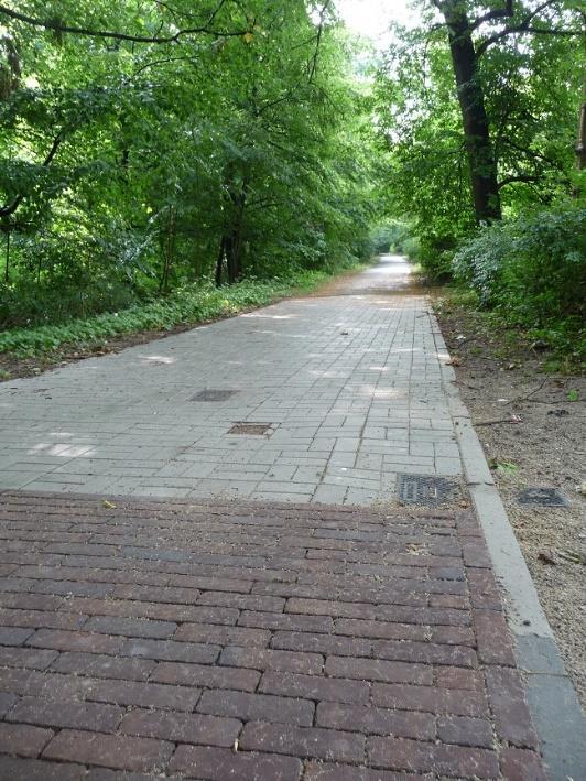 Verschillende typen klinkerpaden Schelpenpad Dit pad is goed hoorbaar. De blindengeleidehond weigert over de schelpen heen te lopen, het doet zeer aan de poten.