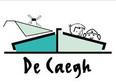 Jaarplan 2019-2020 De Caegh Concept: 1 juli 2019 Definitief: 12 juli