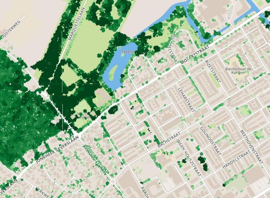 Thema: Waterkwaliteit BOMEN De boomkaart laat zien waar bomen staan en hoe hoog deze zijn.