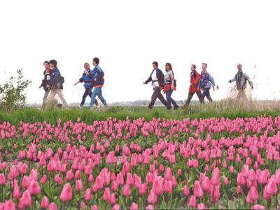 Kennis en innovatie Net als in de rest van de maatschappij, gaan ontwikkelingen in de land- en tuinbouw in de Noordoostpolder steeds sneller.