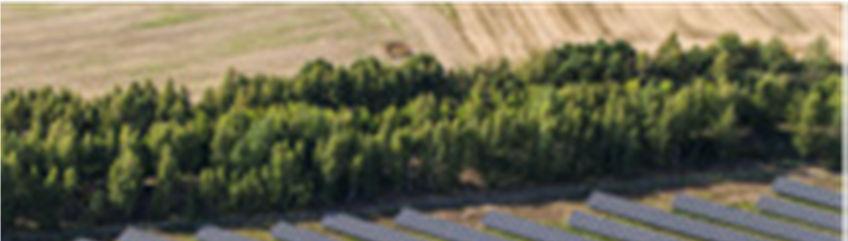 Lage wal langs zonnepark (Foto Jeroen Bosch) Dwarsdoorsnede