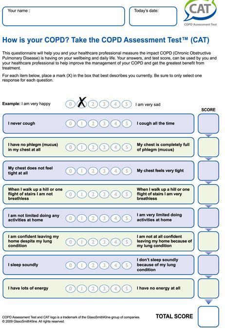 Modified Medical Research Council Dyspnea Scale (mmrc) COPD Assessment Test (CAT) De COPD Assessment Test (CAT) is een