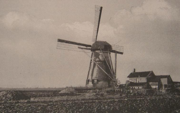 Om het water in de polders een beetje op peil te houden, waren een aantal watermolens nodig