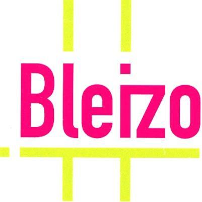 PROGRAMMA BEGROTING 2020 Versie DB 04 april 2019 Bleiswijk, 28 maart 2019 2016, Gemeenschappelijke Regeling BLEIZO. Alle rechten voorbehouden.