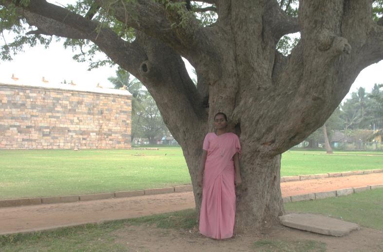 Foto 3606 boom bij de tempels in Kumbakkonam Na enkele uren daar doorgebracht te hebben vervolgden we onze weg naar Perumalpalayam, niet ver van de stad Trichy, waar het provinciehuis van de