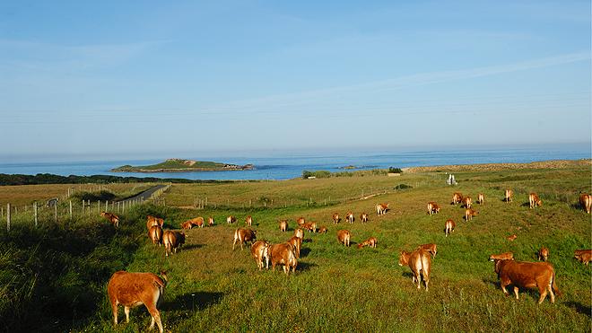 Nuttige informatie Er zijn veerdiensten met catamarans en ferryboten van Setúbal naar Troia. Meer informatie op www.atlanticferries.pt.