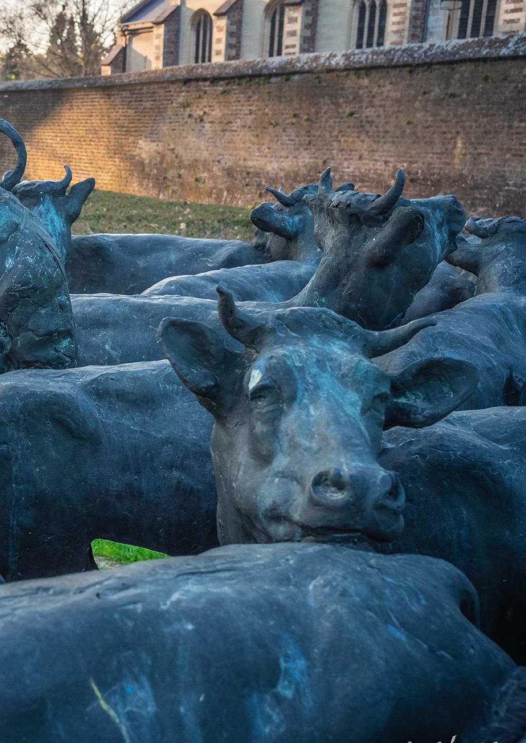 4. Glanzen Doelgroep Voor wie is het idee bedoeld? Geef een overzicht van de doelgroep(en) en denk daarbij niet alleen in doelgroepen op basis van leeftijd, want de 55-plusser bestaat niet!