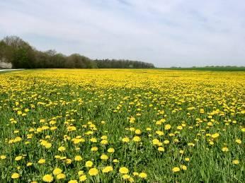 Vrijdag 5 mei Crailsheim - Reubach 29 km / 420 m Het wordt bijna een gewoonte, maar ook vandaag staan we om half 7 op.