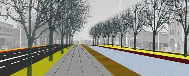 Jan Peeters: Het profiel van de Groene Singel met de brede fietspaden langs beide kanten, de groene bermen en de drie bomenrijen wordt ruimtelijk doorgetrokken tot aan de Noorderlaan.