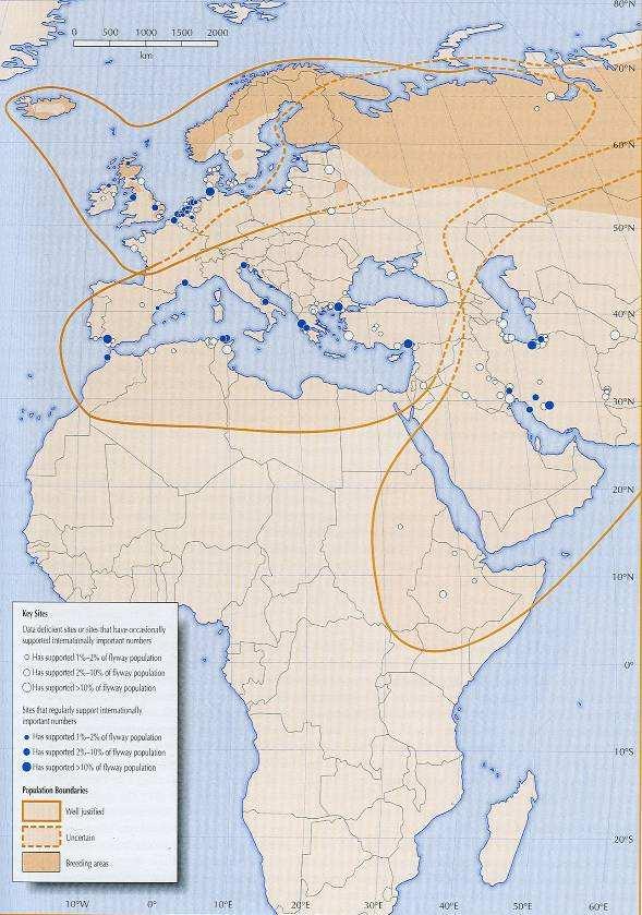 3.2 Flyways van ganzen en Smienten De in dit rapport gebruikte flyways zijn overgenomen uit (Scott & Rose 1996, Madsen et al. 1999).