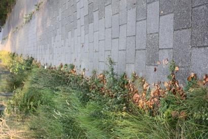 16 BEHEER HARDE GRASKANTEN FrequenGe van 2