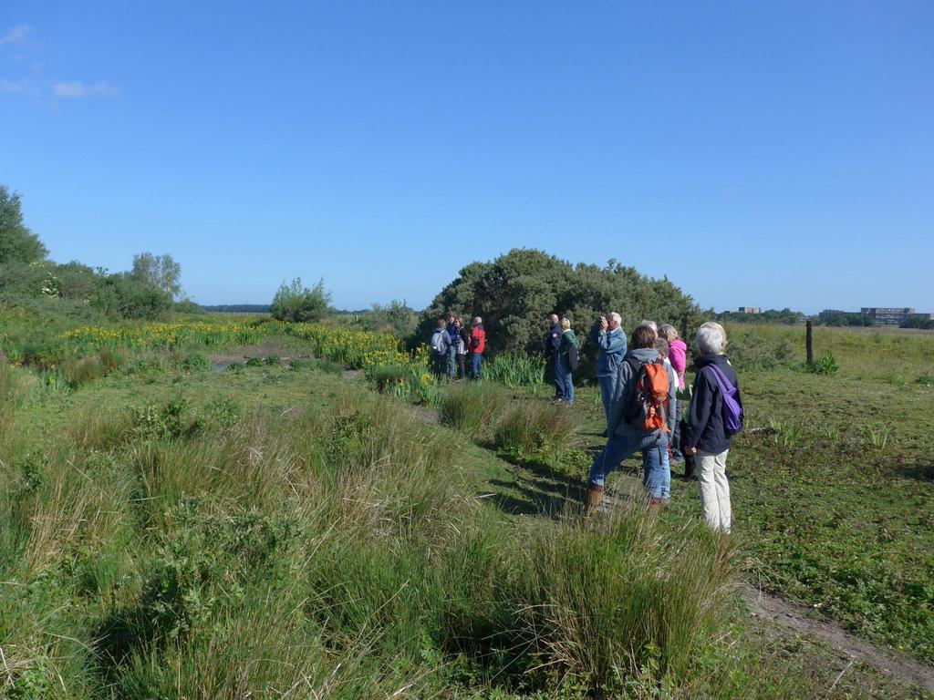 Zaterdag 2 mei: Spuimond west Dit nieuw ontwikkeld gebied van slikken en hoger gelegen delen is al snel een rust- en fourageerplaats geworden van tientallen soorten vogels.