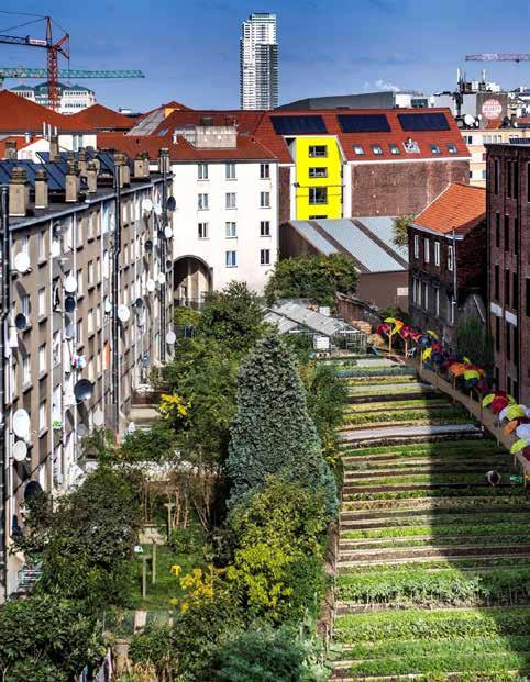 MAAK STEDEN EN MENSELIJKE NEDERZETTINGEN INCLUSIEF, VEILIG, VEERKRACHTIG EN DUURZAAM (SDG 11) Steden nemen slechts 3 % van het wereldoppervlak in beslag, maar ze verbruiken tussen de 60 % en 80 % van