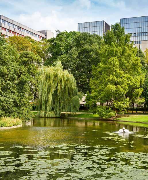 NATUUR EN BOSSEN Inspiratie putten uit de maatregelen van het Natuurplan en ze toepassen; Opstellen en goedkeuren van een gemeentelijk Natuurplan, in samenspraak met alle betrokkenen; Versterken van