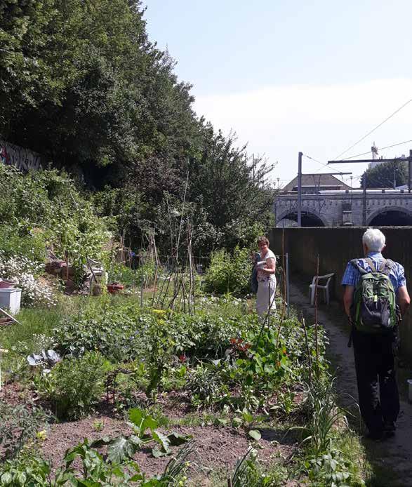 VOEDING Een lokale duurzame voedselstrategie ontwikkelen; Verbanden leggen tussen sociale bijstand en voedsel en/of gezondheid en voeding (sensibilisering, begeleiding en ondersteuning); Creëren van