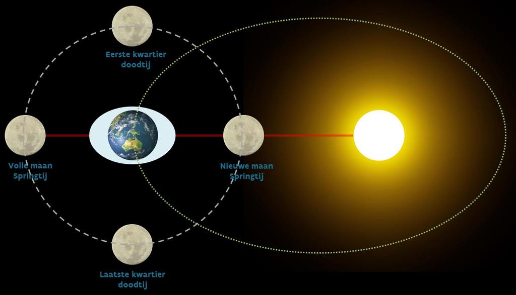 Wat is springtij? De zon en de maan bepalen het astronomische getij (eb en vloed). De maan staat het dichtst bij de aarde en oefent de grootste aantrekkingskracht uit op het water.