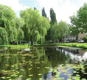 Dit onderzoek richt zich onder andere op de urgentie van de grondwateronderlast en funderingsituatie in het Schilderskwartier.