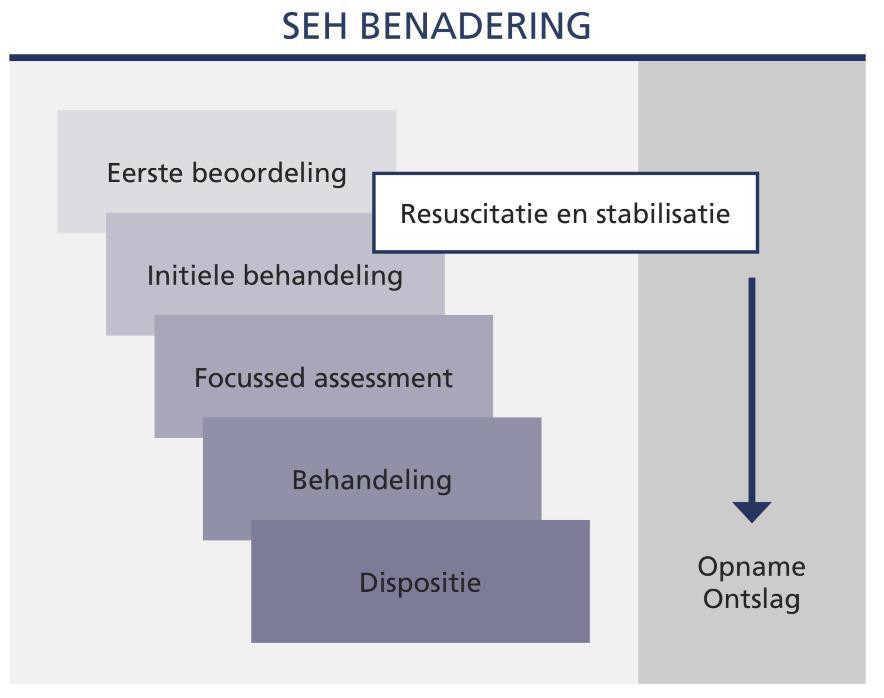 Handreiking bekwaam verklaren EPA Hoog complexe zorg fase I - de initiële zorg (versie 20190611) Inleiding De SEH benadering beschrijft hoe een SEH-arts in fases zorg levert aan een patient en zorg