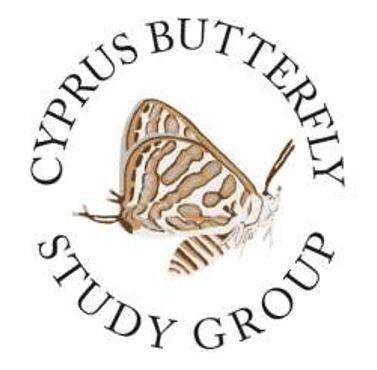 CBRS Cyprus Butterfy