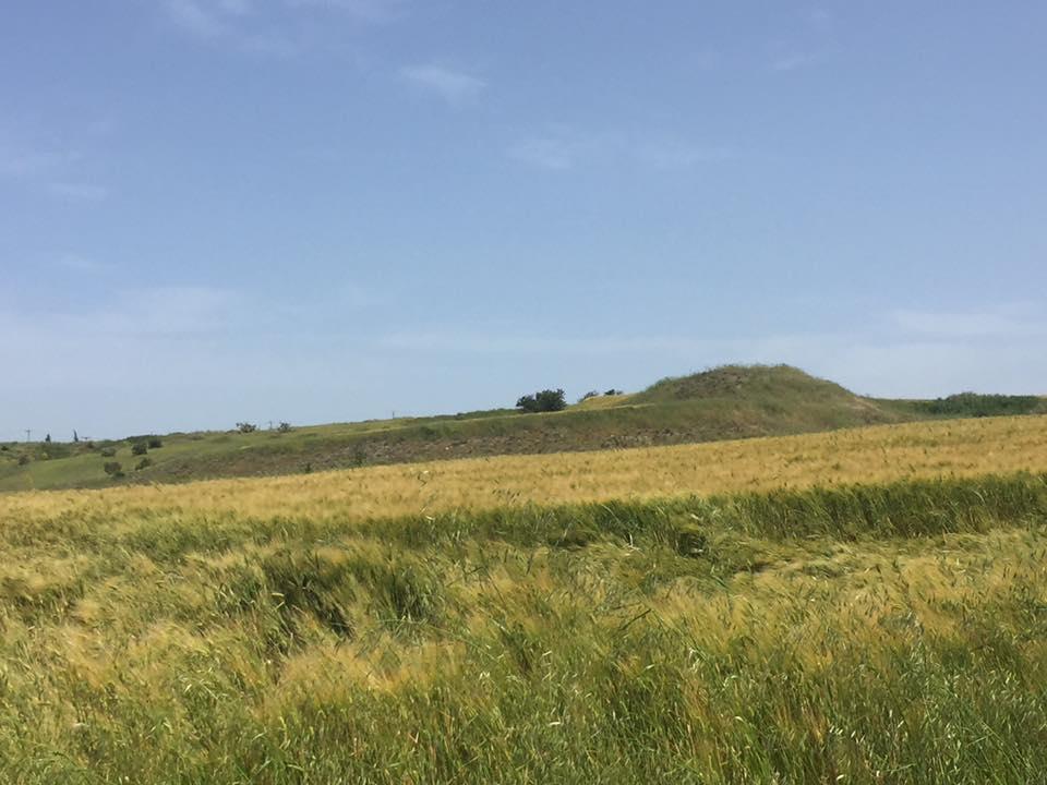 Cyprus, 12 april 2019, Papadoulus Improviseren in het veld Geen frisgroen eiland vol met bloemen Zoeken naar dagvlinders