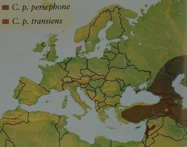 areas of the north. The species is present in mainland countries to the north and east of Cyprus, but is not known as an obligate migrant.