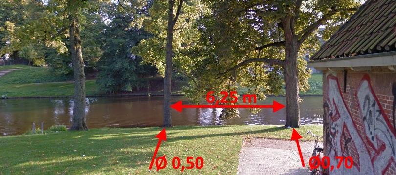 Knelpunten/problematiek Breedte brug (VO 2012): ): 6,55 m (waarvan 3,50 m fietspad en 1,50 m voetpad), dit past niet tussen de bomen aan de noordzijde Bomen aan weerzijde van de Schotersingel Breedte