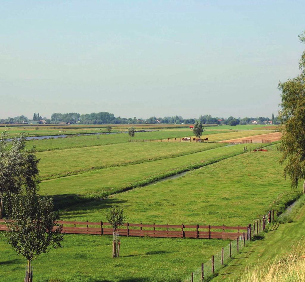 Peilbesluit Lopikerwaard De Pleyt, Hoekse Molen,