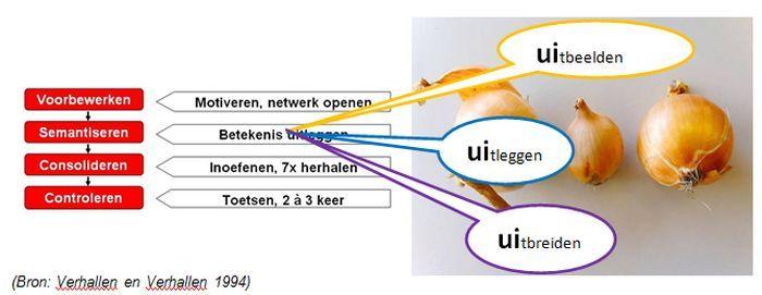 Woordenschat Als school hebben wij gezien dat de resultaten van begrijpend lezen nogal wisselend zijn.