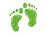 Actie: Groene voetstappen. Als school doen wij met alle groepen van 16 t/m 20 september 2019 mee aan het project Groene Voetstappen.