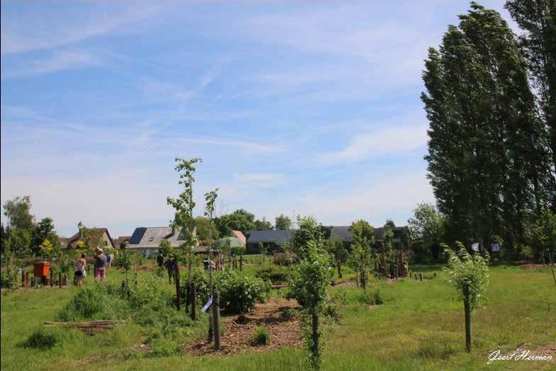 cohesie met buurt CSA (Community Supported Agriculture) Goedinge, Afsnee