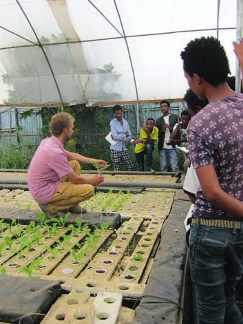 (business)model te ontwikkelen voor lokale (Afrikaanse) ondernemers: De kosta groeit goed (Ethiopië) die aquaponics en hydroponics toepassen.