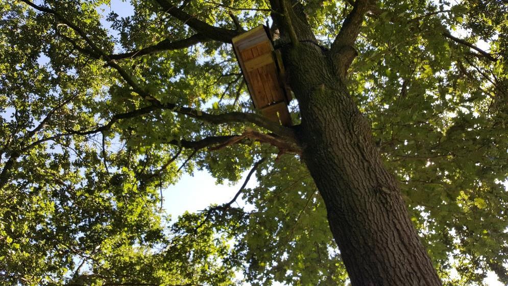 Tijdens de opname is geconstateerd dat er veel nieuwe nestkasten gehangen zijn rondom de velden in Haaren op sportpark Nemelaer.