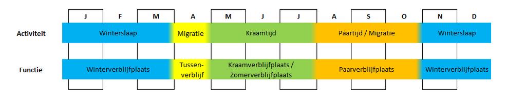 Jaarcyclus van