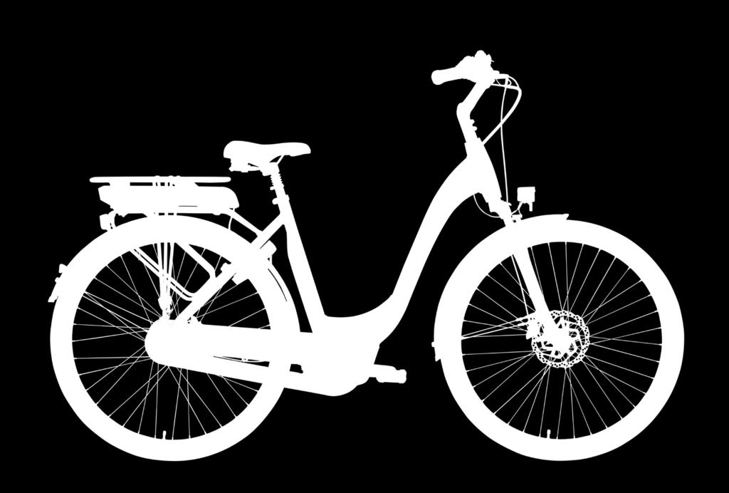 ANWB e-biketest 2019 Een 10 voor rijstabiliteit Twintig e-bikes met middenmotor werden in de ANWB e-bike test 2019 onder de loep genomen, zowel technisch als in een publiekstest.