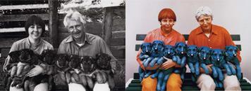 Richter, Küchenstuhl, 1965 Art Rogers, Puppies,