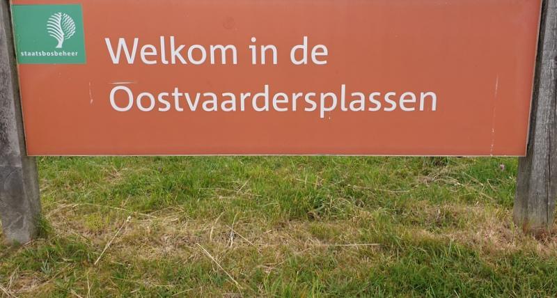Datum: Dinsdag 28 mei 2019 Excursie: Oostvaardersplassen ochtendexcursie Gids: Pim Vandaag mocht gids Pim op pad met een vriendelijk stel uit Zwolle.