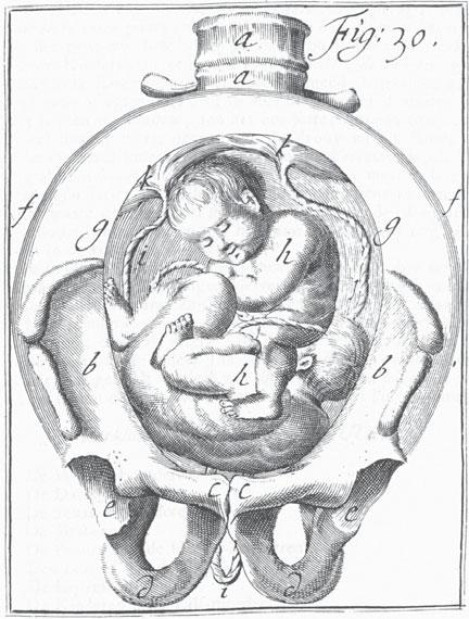 genesen was een mijlpaal in de ontwikkeling van de obstetrie en gynaecologie tot zelfstandig specialisme.
