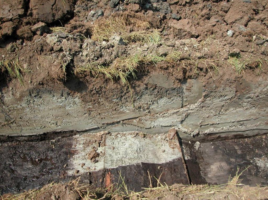 De ingezamelde vondsten bevatten een scherf terra sigillata, een fragment van een amfoor, enkele scherven kruikwaar en fragmenten van een pot in reducerend gedraaid aardewerk.