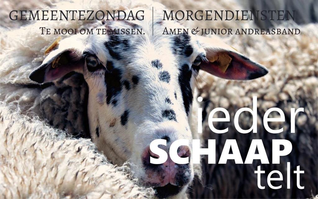 Ochtenddiensten Gemeentezondag 22 september 2019 9:00 uur Voorganger: ds. Reinoud Koning & ds. Werner Gugler Orgel / piano Jan w. va