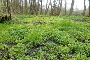 beekdallandschap; en op het brede maatschappelijke belang van beekdalen, in het kader van de combinatie van natuurherstel en wateropgaven, zoals de KRW, WB21 en de klimaatverandering.