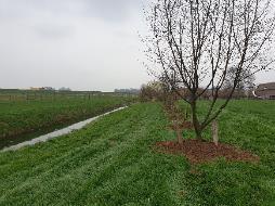 De aanleg van droge bufferstroken is relatief gemakkelijk inpasbaar in de praktijk, zeker als het bijvoorbeeld gras is en als rijpad gebruikt kan worden.