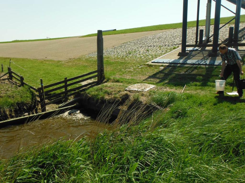 4.1.13 Zwarte Haan gemaal Het gemaal bij Zwarte Haan is een belangrijk potentieel intrekpunt voor trekvis die vanuit de Waddenzee naar de Polder willen trekken.