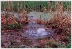 Afschuiving voorland ontstaat doordat het voorland instabiel wordt omdat de helling naar het buitenwater te steil is, Zettingsvloeiing ontstaat door het verschijnsel dat een verzadigde