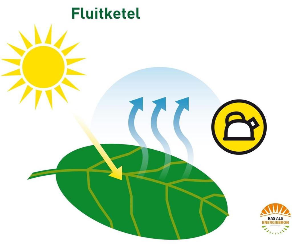 Fluitketelverdamping (stralingsverdamping) Energiebron: zon (instraling) lampen Voorwaarde: