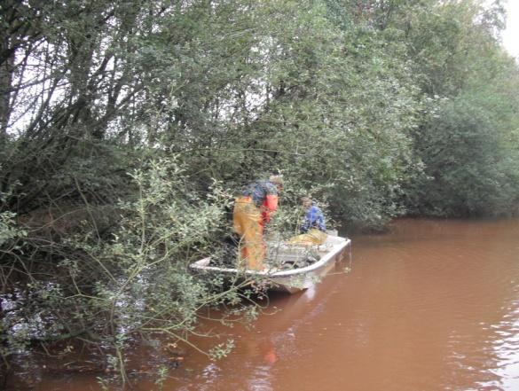 Alvorens de visserij plaatsvond, zijn keernetten geplaatst.