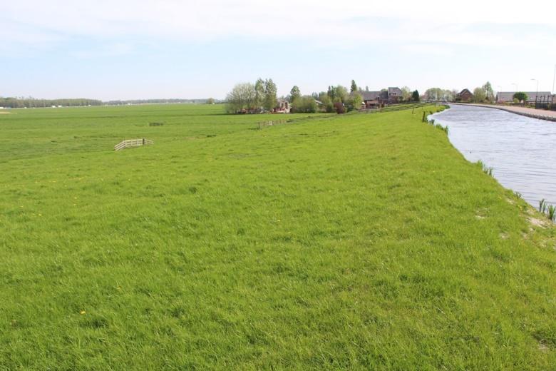 Bloembezoekende insecten, zoals wilde bijen zijn gebaat bij een hoge variatie aan bloemen in het grasland door het jaar heen. Ofwel kruidenrijk grasland.