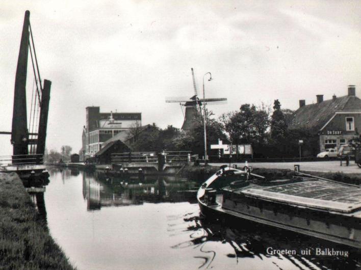 Door gegevens te verzamelen over de grondwaterstanden en de aanwezige flora & fauna kun je, op een positieve manier, invloed uitoefenen op