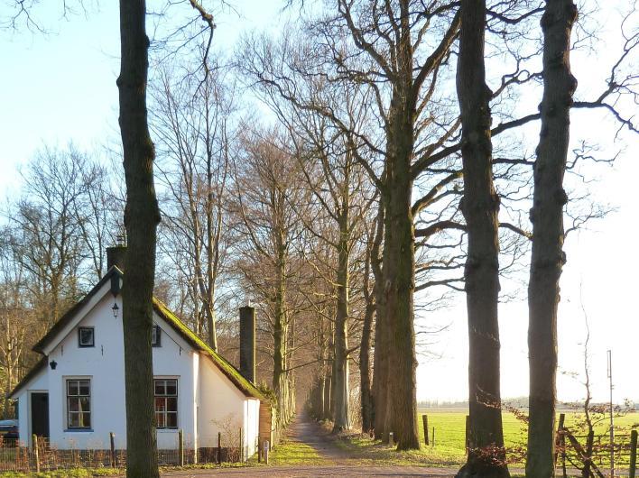 5 Rijksmonumenten in Balkbrug Historie Limiethuisjes Boslaan 92 laat het laatste zogeheten Limiethuisje van de