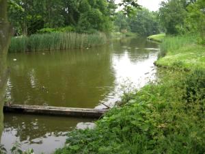 Wij gaan rechts de verharde weg op tot aan het entree van Zomerdorp Grevelingen.