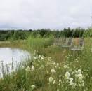 nabijheid van de rivier wordt opgezocht.